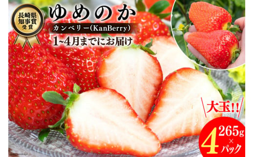 DA050 長崎県知事賞受賞【 大玉 いちご 】「 ゆめのか （3L～5L）」265g×4パック ＜1～4月にお届け＞ レビューキャンペーン