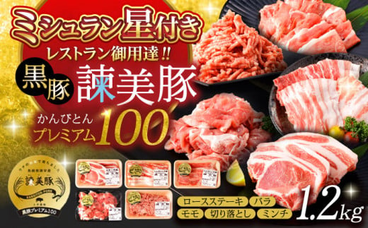 黒豚諫美豚プレミアム100 5種詰め合わせ 1.2kg / 豚肉 ぶたにく ロースステーキ しゃぶしゃぶ 切り落とし ミンチ / 諫早市 / 株式会社土井農場 [AHAD047] 285881 - 長崎県諫早市