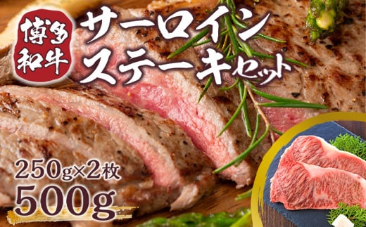 【A4～A5】博多和牛サーロインステーキセット 500g(250g×2枚)　AO010 331052 - 福岡県粕屋町