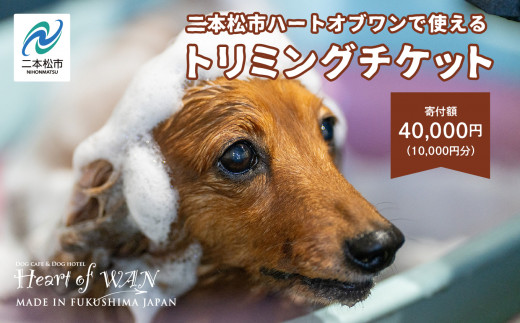 トリミングチケット 10,000円分 トリミング 愛犬 ワンちゃん 犬 ペット トリミングチケット サロン わんちゃん おすすめ お中元 お歳暮 ギフト 二本松市 ふくしま 福島県 送料無料【ハートオブワン】