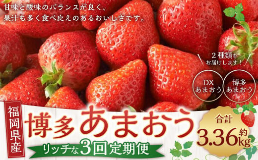 博多 あまおう リッチな 3回 定期便 計約 3360g 福岡 イチゴ いちご 苺 フルーツ【2024年12月上旬～2025年2月下旬発送予定】 1379098 - 福岡県遠賀町