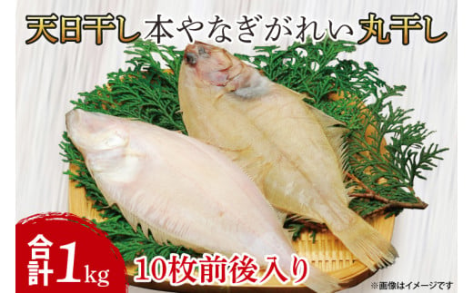 AI004　天日干　本やなぎがれい干　1kg