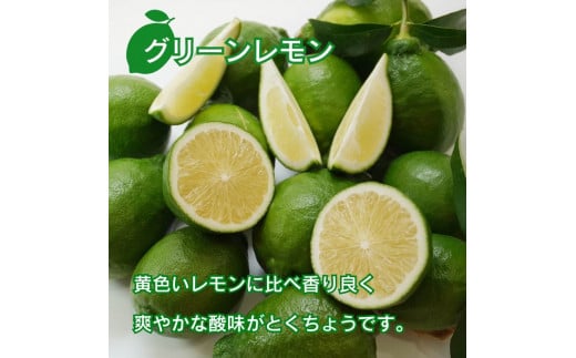 訳あり レモン（グリーンレモン） 1kg りのか 減農薬 レモン 柑橘 檸檬 果物 くだもの 果実 国産 フルーツ 有名 愛媛 みかん職人武田屋  愛媛県産 ビタミン 直送 産直 無添加 ジュース 発送期間:8月中旬～11月中旬 お試し 試供品 少量 5000円 愛媛県産 瀬戸内 ビタミン ...