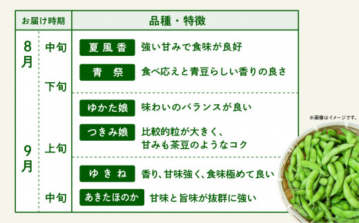 秋田県潟上市のふるさと納税 【令和6年産】枝豆 3kg 個包装 （A品）