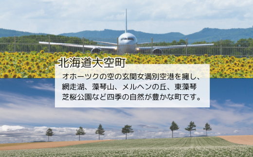 北海道大空町のふるさと納税 知床牛和トロふりかけ100g×2袋 【 ふるさと納税 人気 おすすめ ランキング 牛肉 ふりかけ ご飯 おにぎり 弁当 おかず ご飯のおとも 北海道 大空町 送料無料 】 OSG003