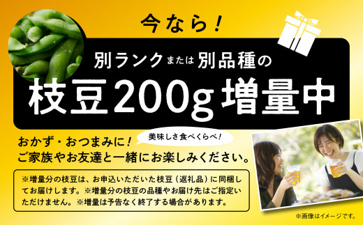 秋田県潟上市のふるさと納税 【令和6年産】枝豆 3kg 個包装 （A品）