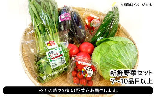 ※その時々の旬の野菜をお届けします。