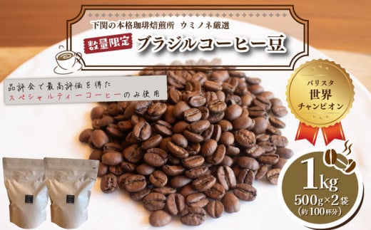 [豆] 訳あり コーヒー豆 1kg ( 500g × 2袋 ) ブラジル レッド カトゥアイ 数量限定 ( コーヒー 珈琲 出荷当日 自家焙煎 スペシャルティコーヒー ホットコーヒー アイスコーヒー コーヒータイム こだわりコーヒー 飲料 日指定可 ) ウミノネコーヒー 下関 山口