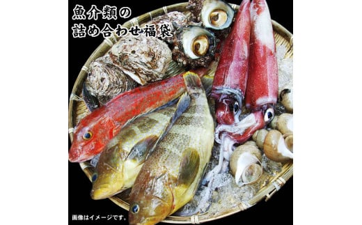 1633 魚介類の詰め合わせ福袋 (魚介類2〜4品程度入) 1398778 - 鳥取県鳥取市
