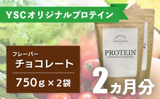 YOKOHAMA STRENGTH & CONDITIONING PROTEIN COMPLETE NUTRITION　2ヶ月分 ホエイプロテインパウダー チョコレート風味 ドリンク メンテナンス ホエイ 健康 体 維持 
