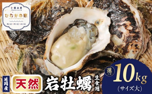 延岡産天然岩牡蠣（生食用）10kg（大）（2024年4月から発送開始） N036-YZD027
