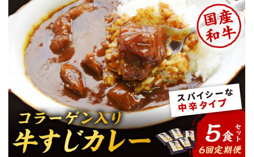 【6回定期便】ゴロッ!と入ったコラーゲン博多和牛　牛すじカレー5食セット【001-0388】