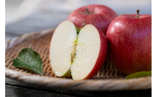 北城農園で人気の南信州産りんご（シナノスイート 11-13玉 約4kg)令和6年分先行予約