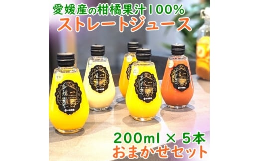 ＜熨斗つき＞媛一・柑橘果汁100%ストレートジュース・おまかせ5本セット＜C24-30＞【1517939】