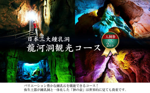 【日本三大鍾乳洞】龍河洞観光コース入洞券 大人2名分 チケット 鍾乳洞 洞窟 地下 観光 歴史 自然