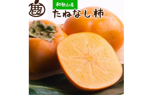 ＜10月より発送＞厳選たねなし柿5kg【刀根早生・平核無柿（ひらたねなしかき）】｜カキ・種無柿・種無し柿・種なし柿・無核柿 ※北海道・沖縄・離島への配送不可 ※2025年10月上旬～11月中旬頃に順次発送予定