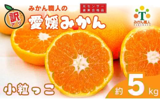 訳あり 愛媛みかん 小粒っ子 約5kg 人気 みかん 冬 秋 旬 糖度 糖度計 厳選 光センサー選果 柑橘 かんきつ 果物 くだもの 国産 こくさん フルーツ スイーツ デザート ご褒美 みかん 蜜柑 大小 サイズ ミックス 不揃い 傷 温州 温州みかん ビタミン 美味しい 農家直送 地場産品 こだわり みかん職人武田屋 愛媛県 愛南町
