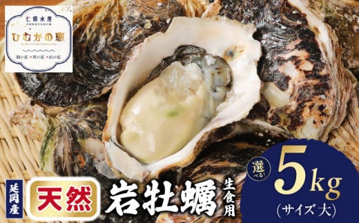 延岡産天然岩牡蠣（生食用）5kg（大）（2025年4月から発送開始） N036-YB307