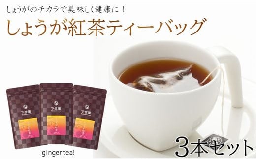 055-14-1 【血行改善】しょうが紅茶15個入り×3パックセット