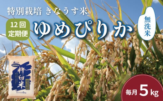 北海道栗山町のふるさと納税 【無洗米12ヶ月定期便】特別栽培「きなうす米」北海道産ゆめぴりか5kg×12回　P011