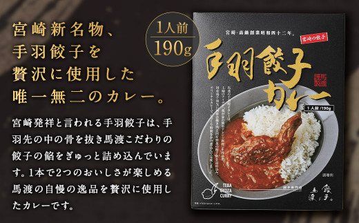 〈みやざき餃子新名物 手羽餃子カレー 5箱〉