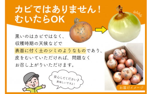 北海道北見市のふるさと納税 【2024年10月中お届け】日本一の玉ねぎ生産地！信田農園の玉ねぎ 5kg Lサイズ ( 信田農園 野菜 玉ねぎ 玉葱 タマネギ たまねぎ 甘い 5キロ オニオン ふるさと納税 )【124-0002-2024】