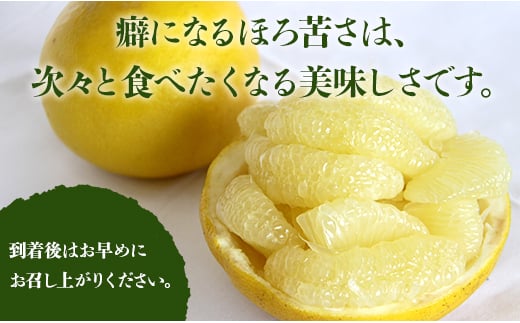 高知県香南市のふるさと納税 文旦 5kg 高知 土佐文旦 5kg (2L～4Lサイズ) 先行予約 期間限定 間城農園 - 高知産 土佐文旦 柑橘 フルーツ 文旦 ぶんたん ブンタン 果物 ms-0065