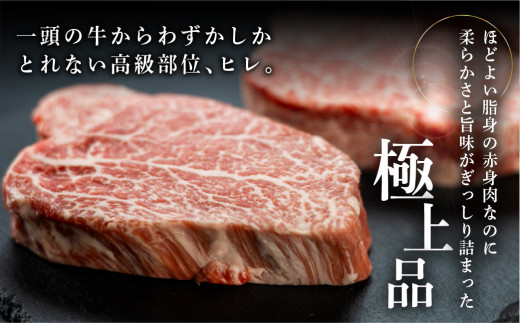 岐阜県下呂市のふるさと納税 菊の井 飛騨牛ヒレステーキ  150g×5　牛肉 赤身 ステーキ 国産 ブランド牛 ギフト 贈答 ヒレ ヒレステーキ 飛騨牛 牛 下呂市 おすすめ【冷凍】