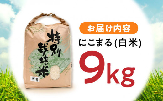 「にこまる」 9kg 米 こめ コメ お米 おこめ 白米 精米 白ご飯 にこまる 長崎県産