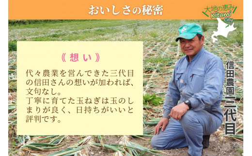 北海道北見市のふるさと納税 【2024年10月中お届け】日本一の玉ねぎ生産地！信田農園の玉ねぎ 5kg Lサイズ ( 信田農園 野菜 玉ねぎ 玉葱 タマネギ たまねぎ 甘い 5キロ オニオン ふるさと納税 )【124-0002-2024】