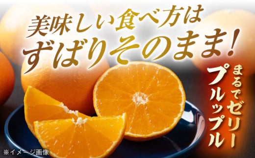 まるでゼリーのようにとろけるみかん！ 紅まどんな Lサイズ　約3kg（15玉入）