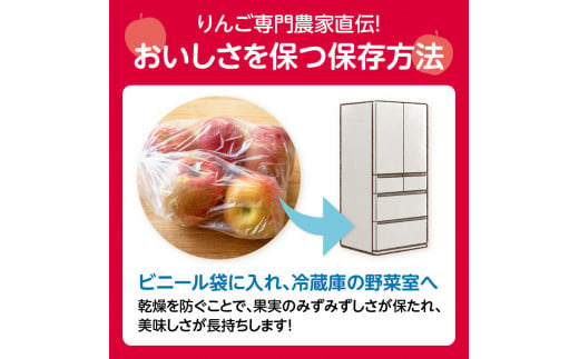 山形県大江町のふるさと納税 《先行予約》大江町産 山形りんご 「はるか」 3kg 2L～3L 10～11玉【2024年12月上旬頃～発送予定】【配送不可：沖縄県・離島】【048-003】