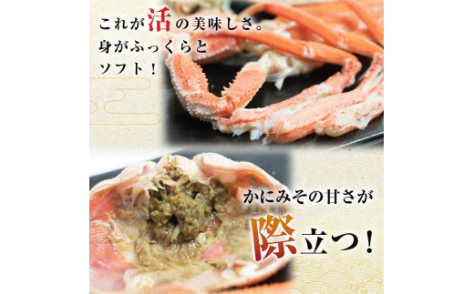 生産者応援！期間限定増量中！】【訳あり】北海道噴火湾産 活オオズワイガニ 3.0kg 詰め込みセット ＜道産ネットミツハシ＞ かに カニ 蟹 ガニ  がに 森町 ふるさと納税 北海道 ずわいがに mr1-0451 - 北海道森町｜ふるさとチョイス - ふるさと納税サイト