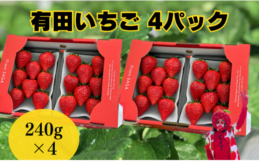 有田いちご 有機肥料 いちごさん 240g×4パック みゆきファーム