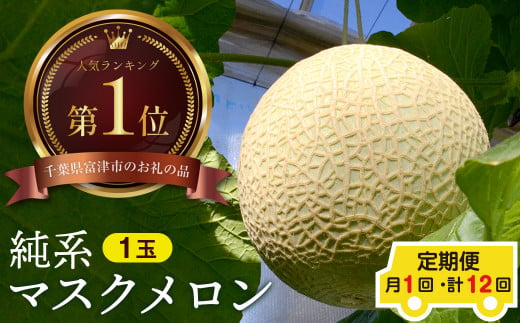 【定期便12ヶ月】純系マスクメロン１玉【最高級】：2025年発送分 1456219 - 千葉県富津市