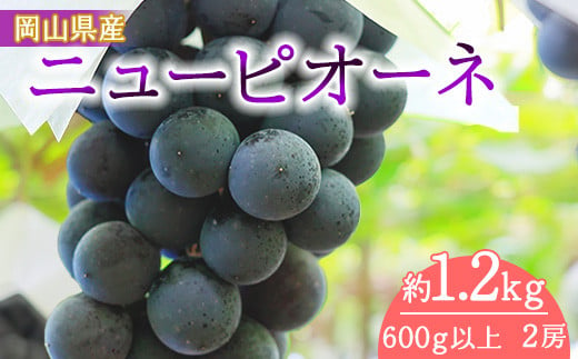 岡山県産　ニューピオーネ（１房６００ｇ以上）２房入り（WFH） 797361 - 岡山県早島町