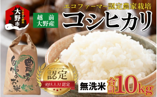 【先行予約】【令和6年産 新米】越前大野産 エコファーマー認定農家栽培 コシヒカリ10kg（無洗米）