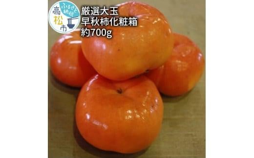 早秋 柿 化粧箱 約700g[2024-9月中旬〜2024-10月中旬配送]