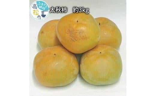 太秋 柿 約3kg[2024-9月中旬〜2024-10月中旬配送]