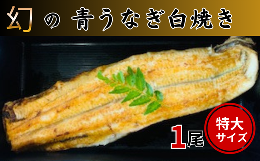 幻の青うなぎ白焼き(特大サイズ)1尾