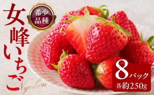 高松産季節の果物＜希少品種　女峰いちご＞約250g×8パック入り【2025年1月中旬～2025年6月中旬配送】 397701 - 香川県高松市