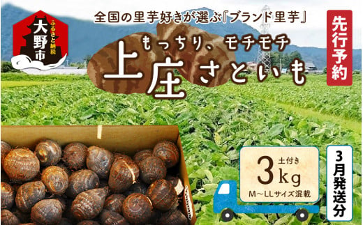 【先行予約】【3月発送分】満天☆上庄産さといも3kg 日本一の味をめざし、有機肥料配合、減農薬栽培の「独自栽培」で作る里芋