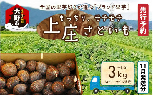 [先行予約][11月発送分]満天☆上庄産さといも3kg 日本一の味をめざし、有機肥料配合、減農薬栽培の「独自栽培」で作る里芋