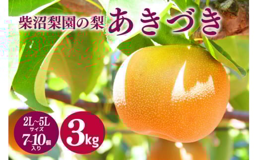 柴沼梨園の梨（あきづき）3kg 大玉 7～10個入り ナシ なし 国産 茨城 秋 旬 フルーツ 果物 先行予約【9月上旬～9月中旬発送】秋の味覚 旬の果物 くだもの 大きい サイズ 品種 あきづき 産地 茨城県産 家庭用 梨園直送 茨城県 笠間市 994102 - 茨城県笠間市