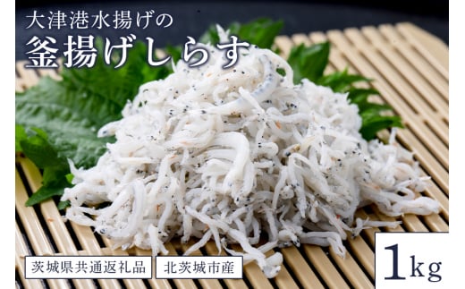 大津港水揚げの釜揚げしらす 1kg(茨城県共通返礼品・北茨城市産)