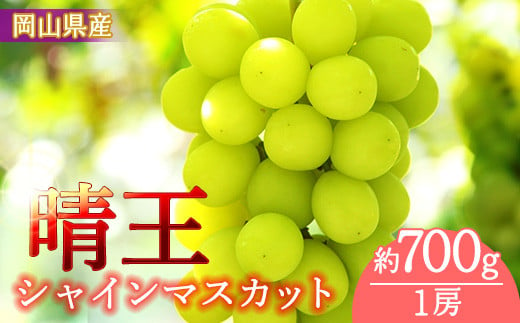 岡山県産　シャインマスカット「晴王」（１房７００ｇ以上）１房入り  （WFH） 797357 - 岡山県早島町