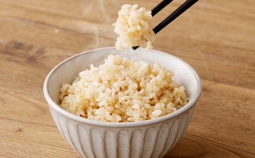 【玄米】 夢つくし （特別栽培米） 約10kg 福岡県産 令和5年産 玄米 米 こめ コメ