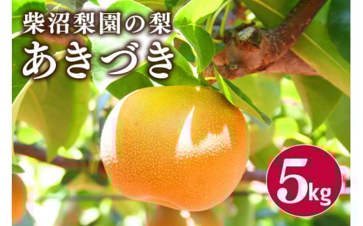 柴沼梨園の梨（あきづき）5kg 大玉 10～16個入り ナシ なし 国産 茨城 秋 旬 フルーツ 果物 先行予約【9月上旬～9月中旬発送】秋の味覚 旬の果物 くだもの 大きい サイズ 品種 あきづき 産地 茨城県産 家庭用 梨園直送 茨城県 笠間市 879027 - 茨城県笠間市