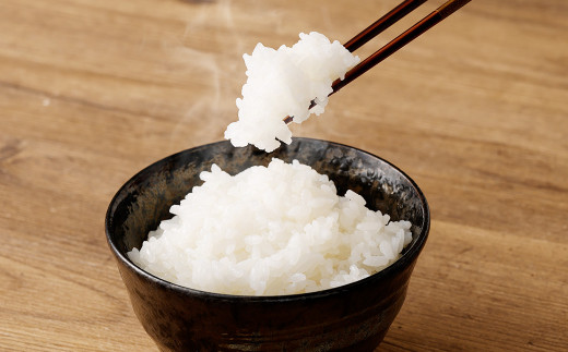 【白米】 夢つくし （特別栽培米） 約10kg 福岡県産 令和5年産 米 こめ コメ