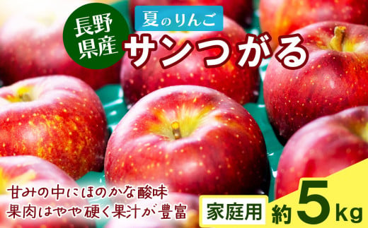 夏のりんご サンつがる 家庭用 5kg ❘ 果物 フルーツ りんご リンゴ 林檎 信州りんご 信州産 長野県産りんご つがる サンつがる 家庭用 千曲市 長野県 信州 先行予約 1424870 - 長野県千曲市